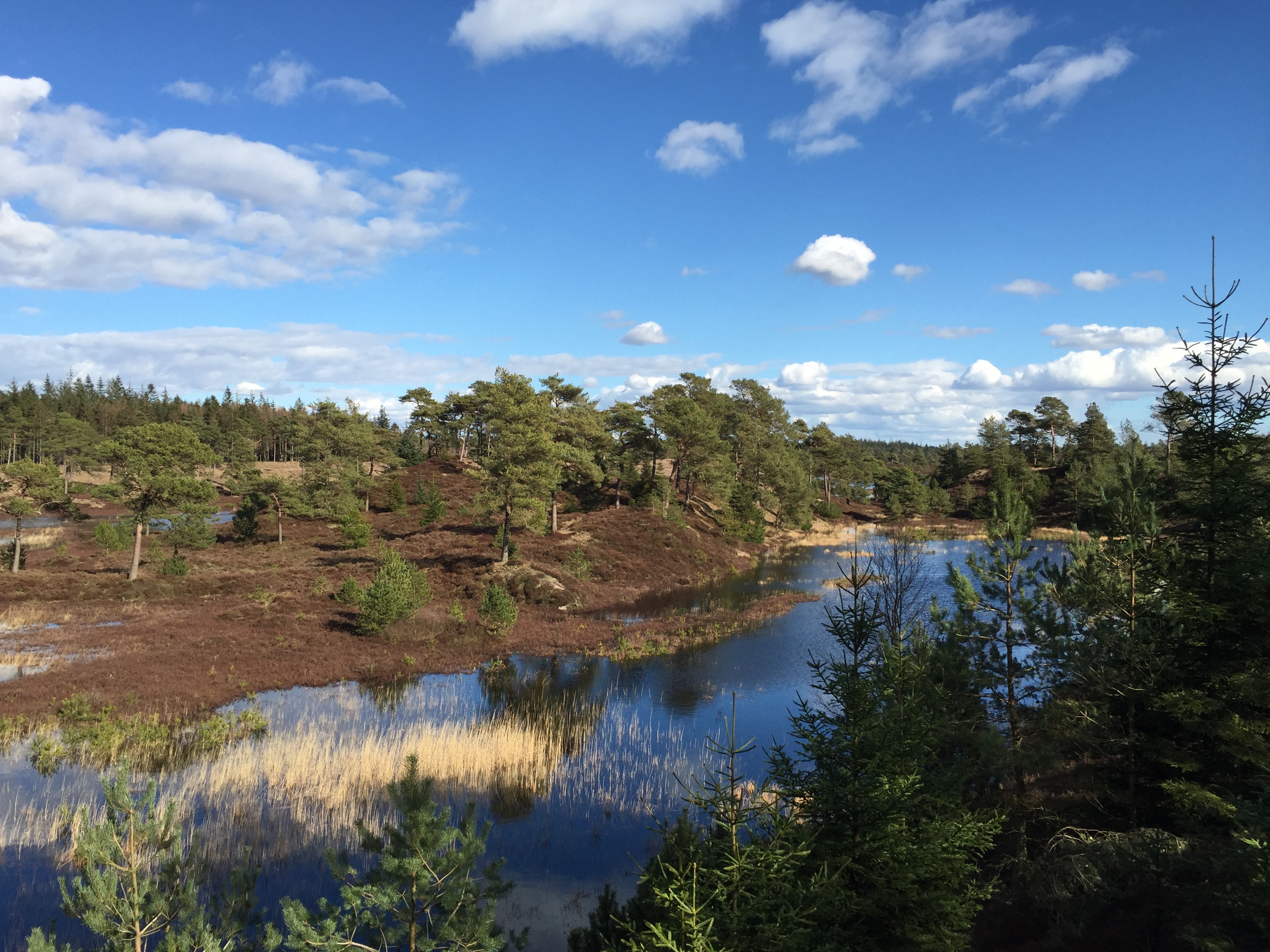 Syvårssøerne